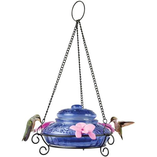 Nature’s Way Bird Products ANTHF2-I Illuminated Antique Top-Fill Hummingbird Feeder, Light Blue/Pink