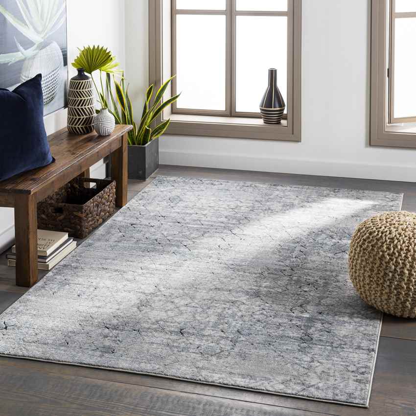 Moleneind Traditional Medium Gray Area Rug