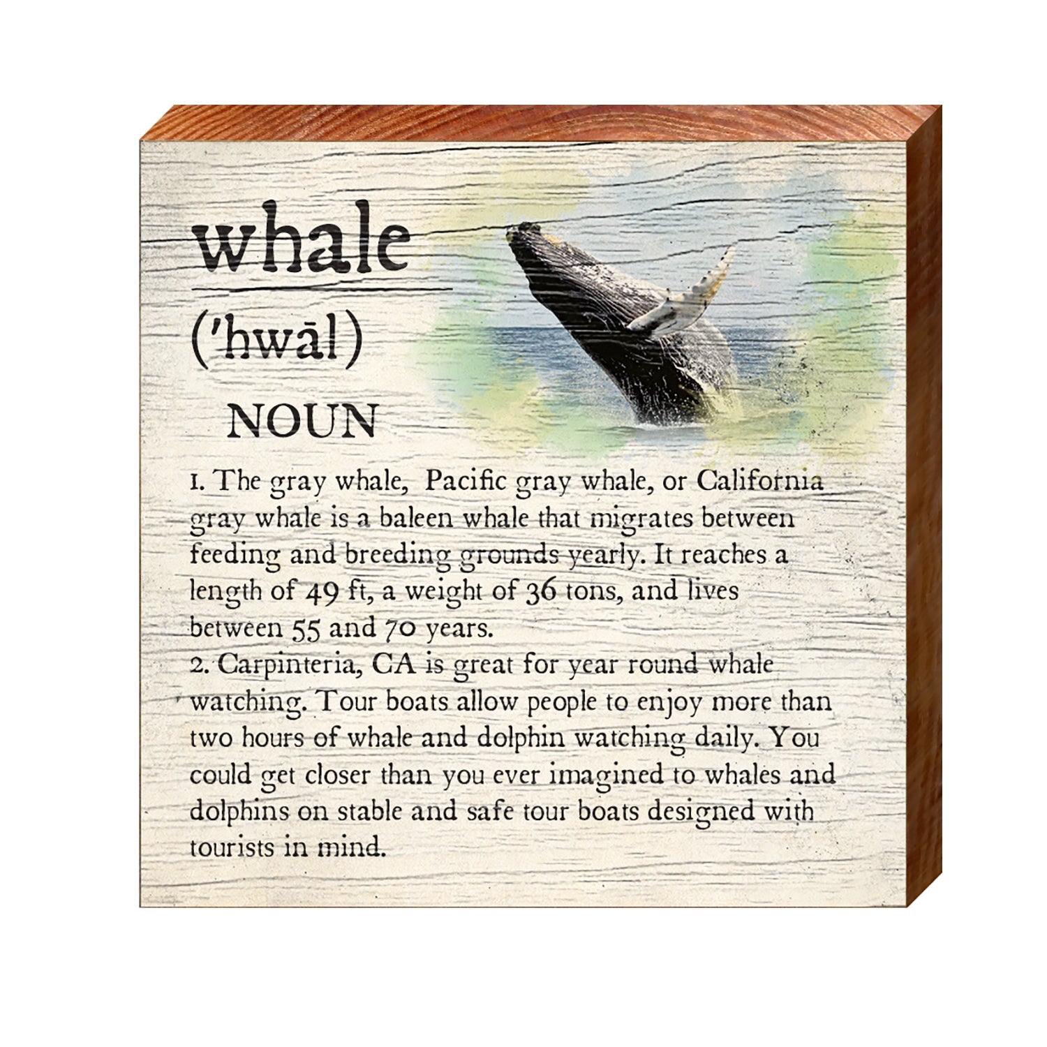 Whale Definition Wooden Sign | Wall Art Print on Real Wood | Coastal Tropical Nautical Beach House Home Decor