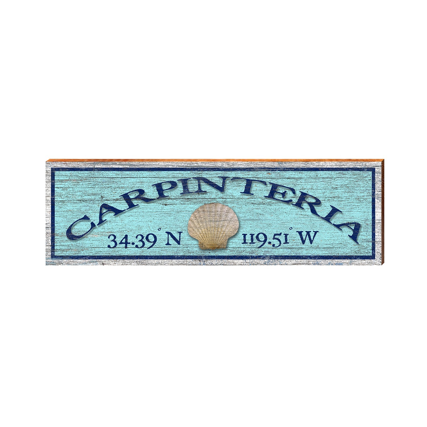 Carpinteria Shell Blue Latitude Longitude | Real Wood Wall Art Print ROX2