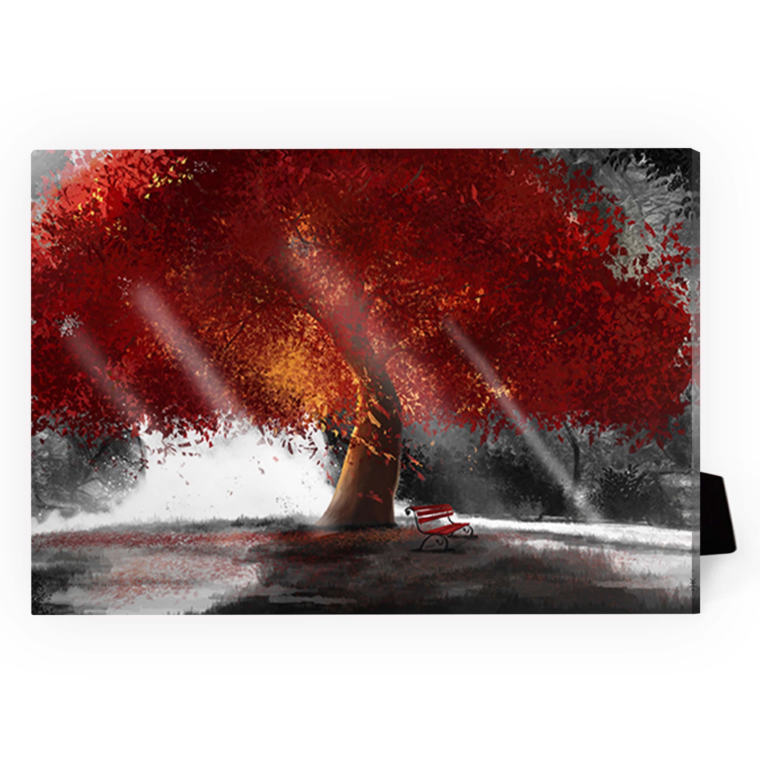 Peaceful Redwood Desktop Canvas